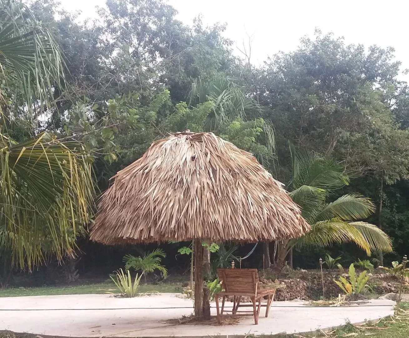 Serenity Retreats Belize -A Vegan Resort