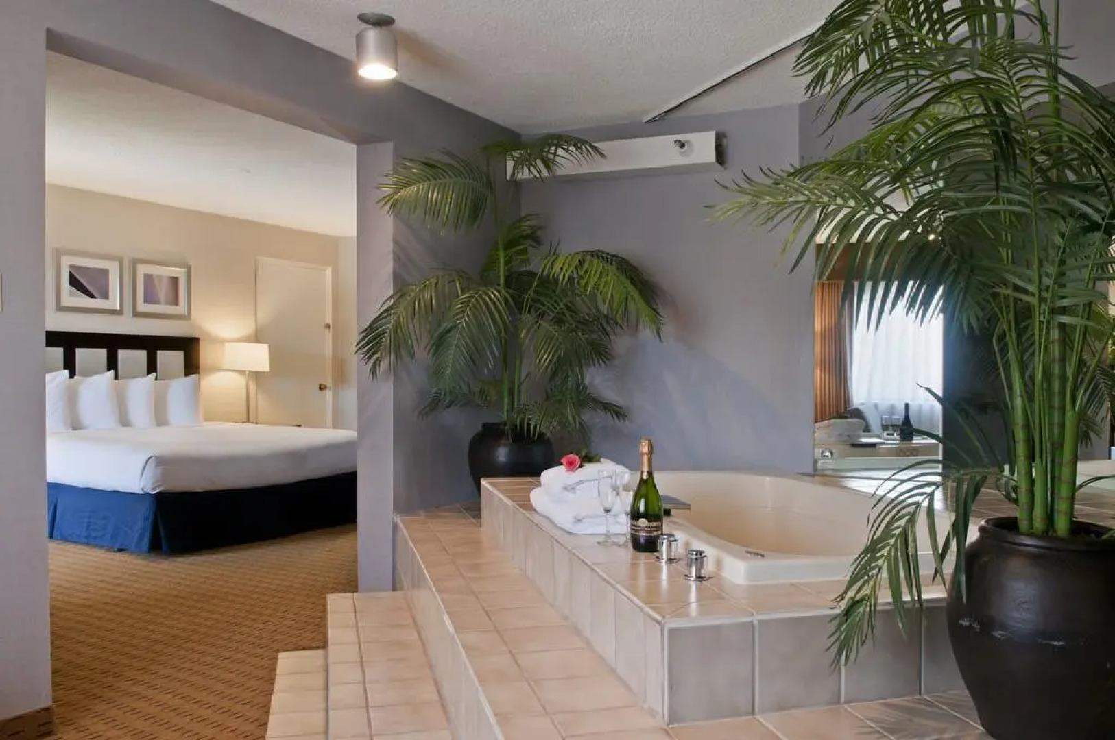 Wyndham Albuquerque Hotel & Conference Center