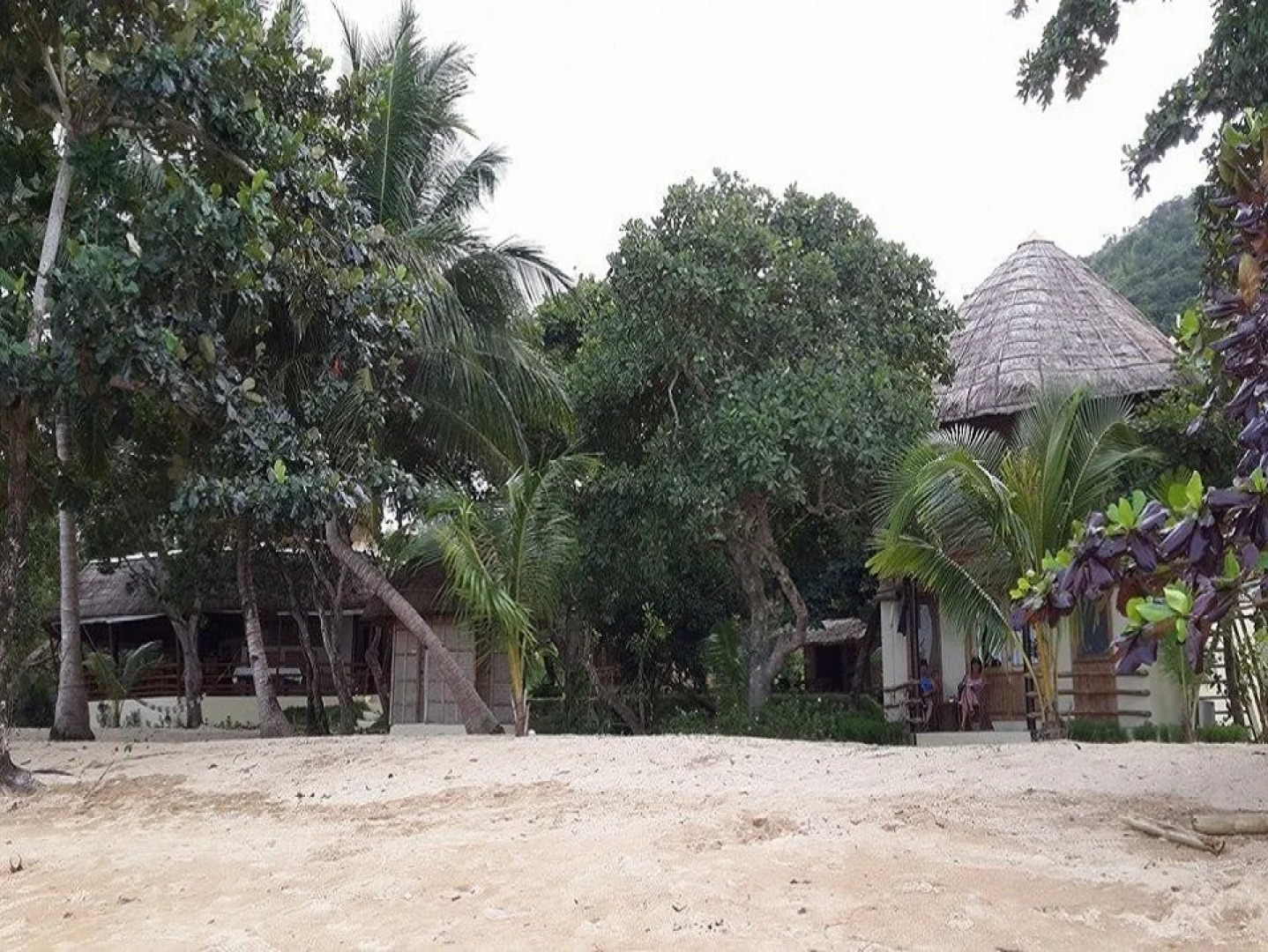 Cashew Grove Beach Resort