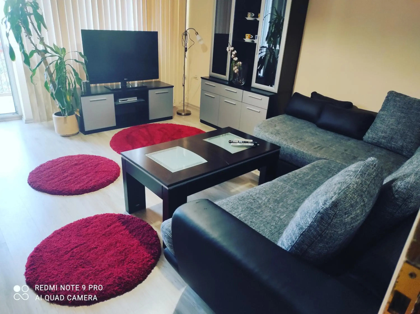 Pleven Sunny Apartment