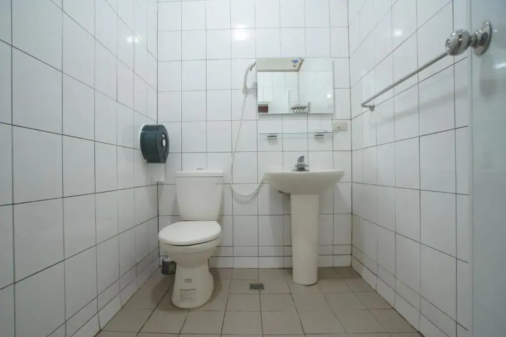 Hemerocallis Country House