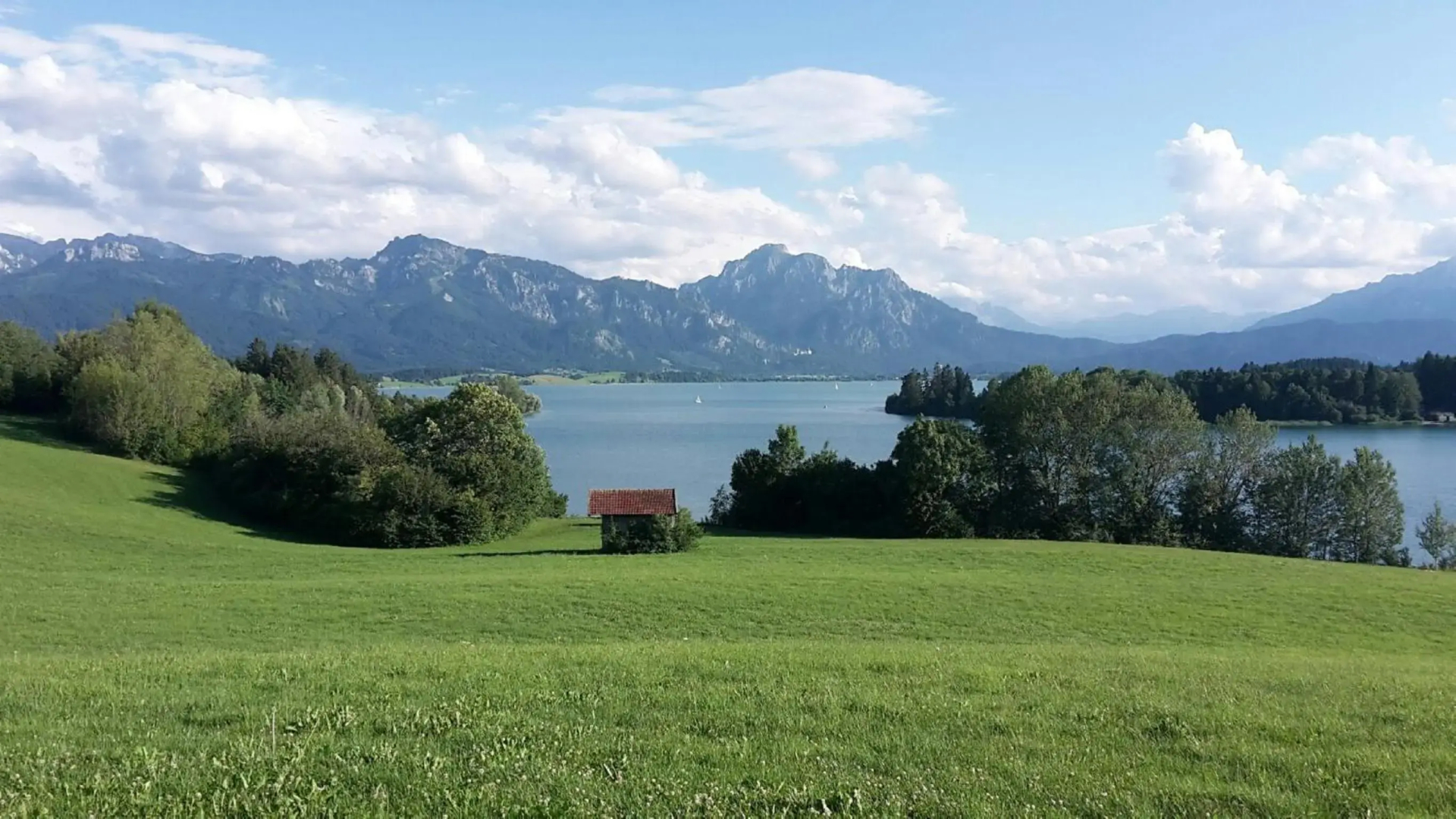 Schmölz Robert