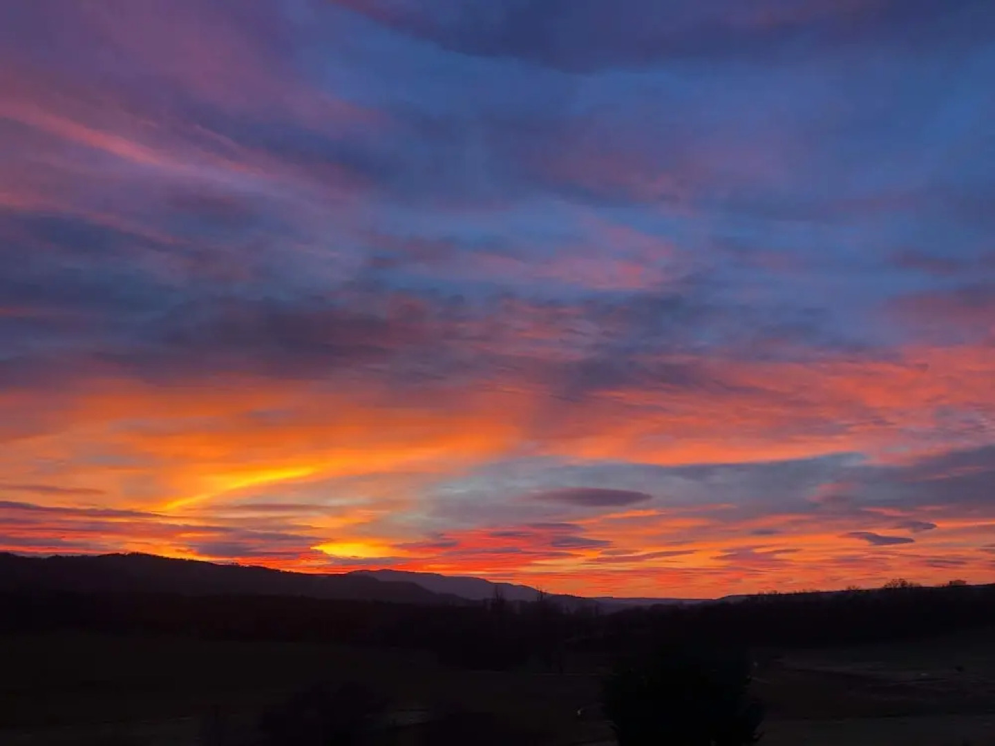 Paradise Love In Provence