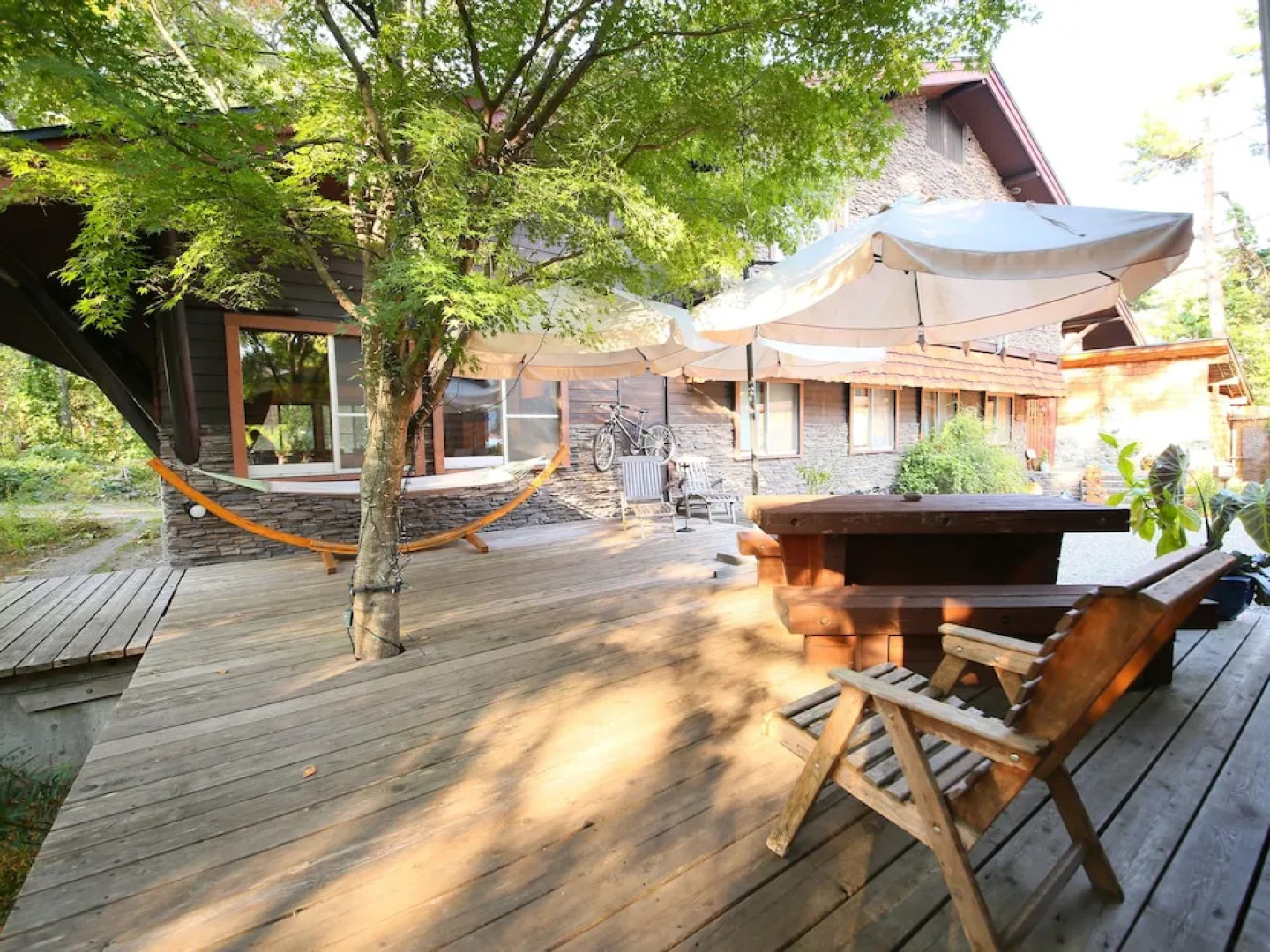 Natural Pension Pumpkin