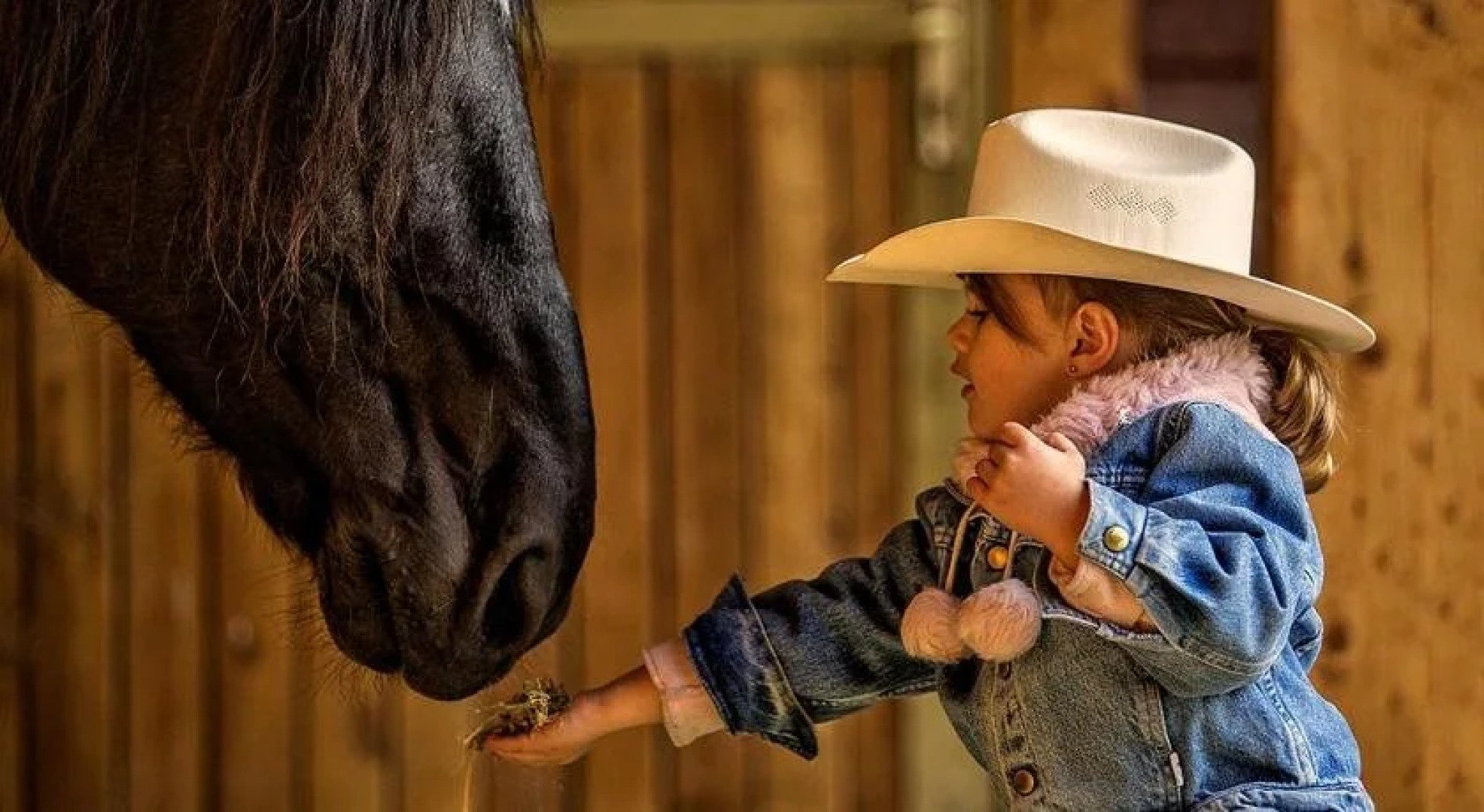 El Bronco Working Ranch