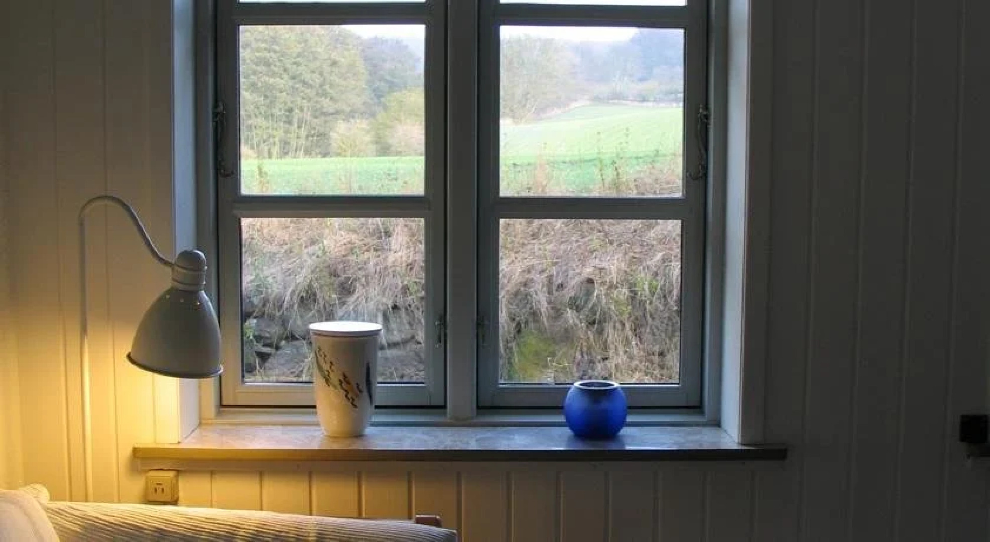 Bakkegaard Møns Klint