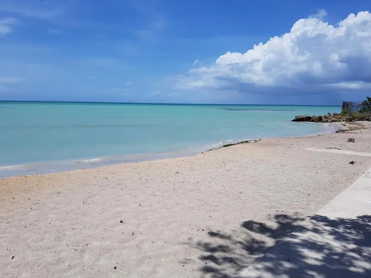 Puerto Azul 314 en Combate