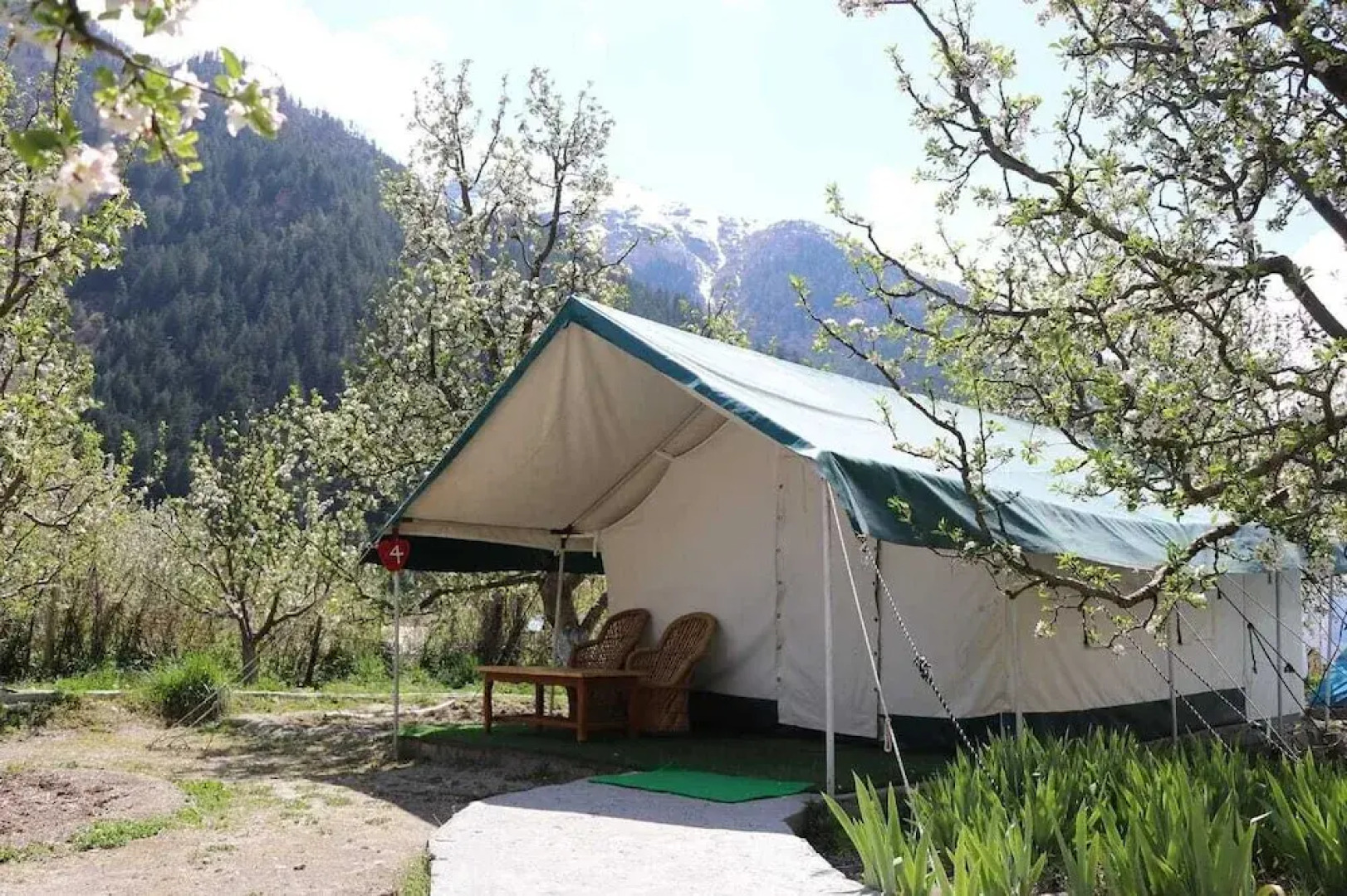 Apple Orchard Farm and Camping