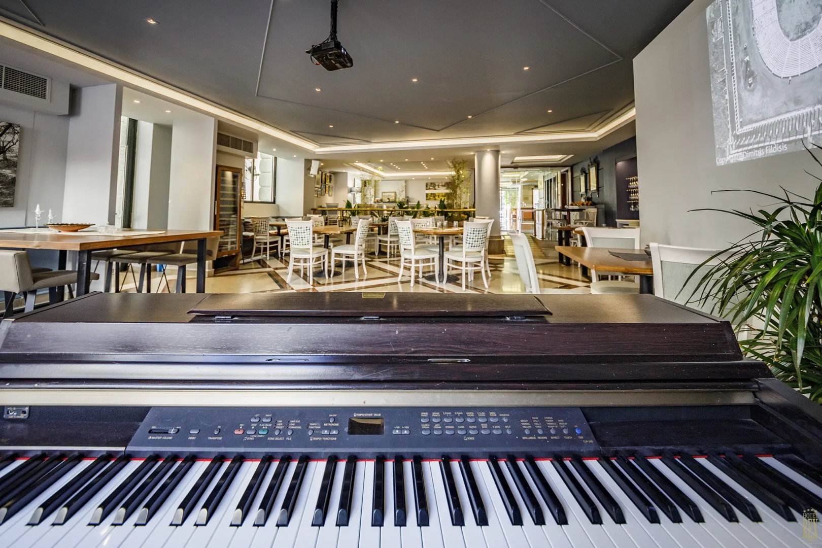 Rex Hotel