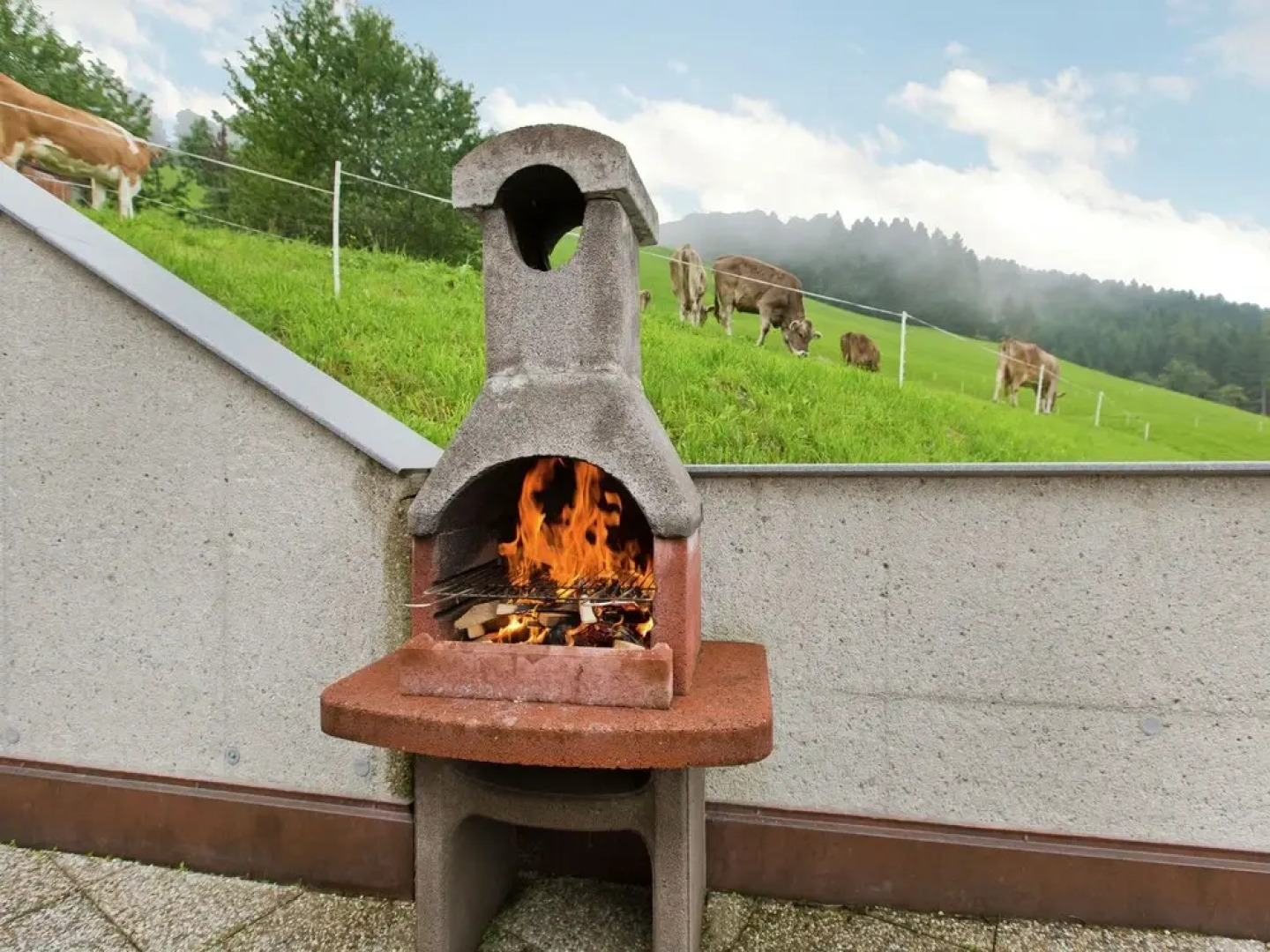 Alluring Apartment in Kolsassberg With Private Garden