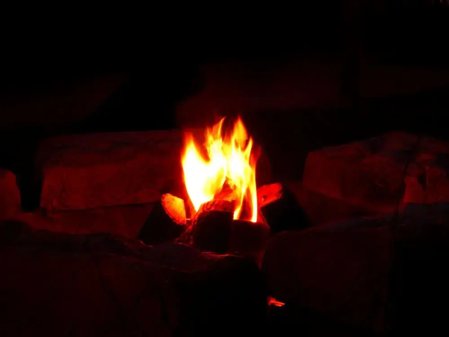 Thorn Tree Bush Camp