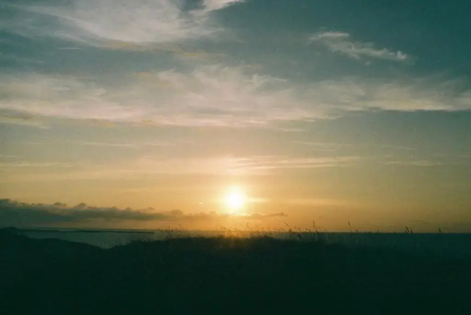 Y Pub & Hostel Tottori