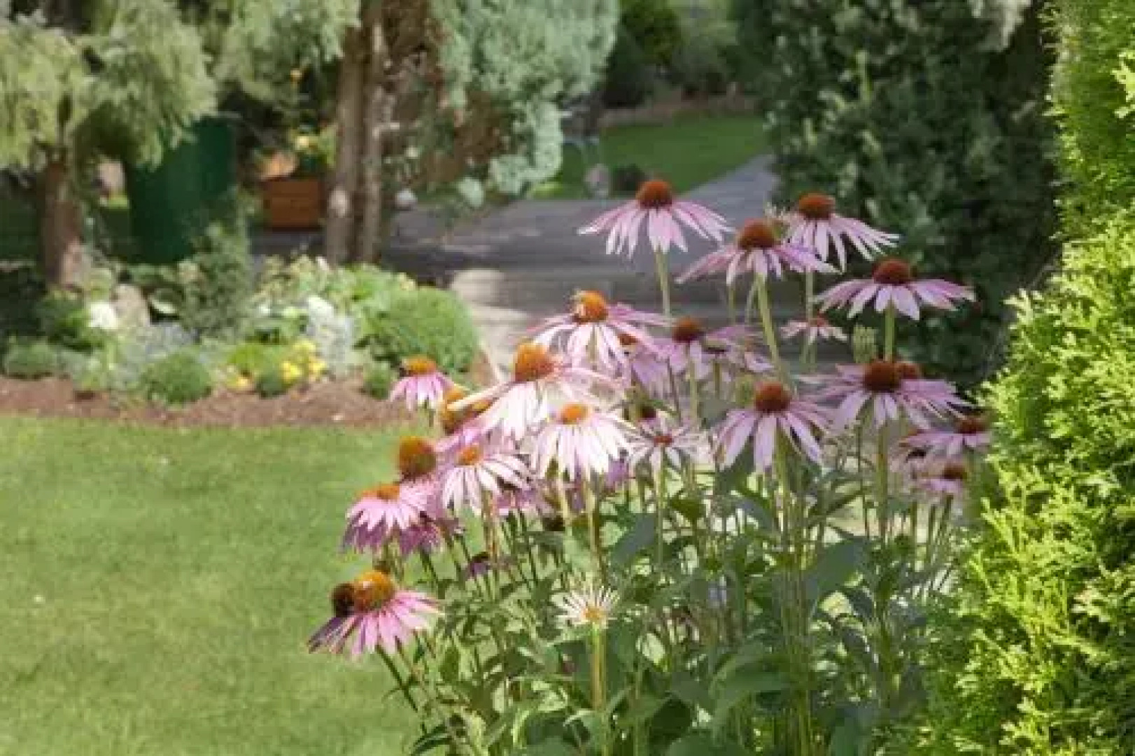 Ferienwohnung Gundolf - Astner