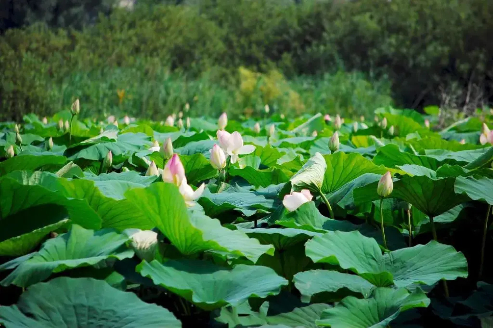 Hotel Antica Dimora , Mantegna Hotels