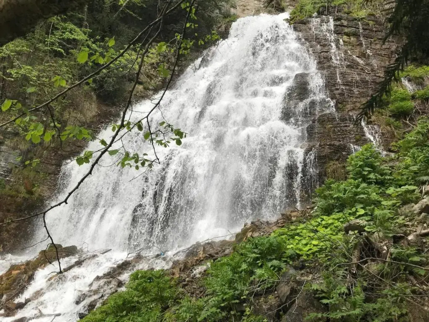 Il Giardino degli Elfi