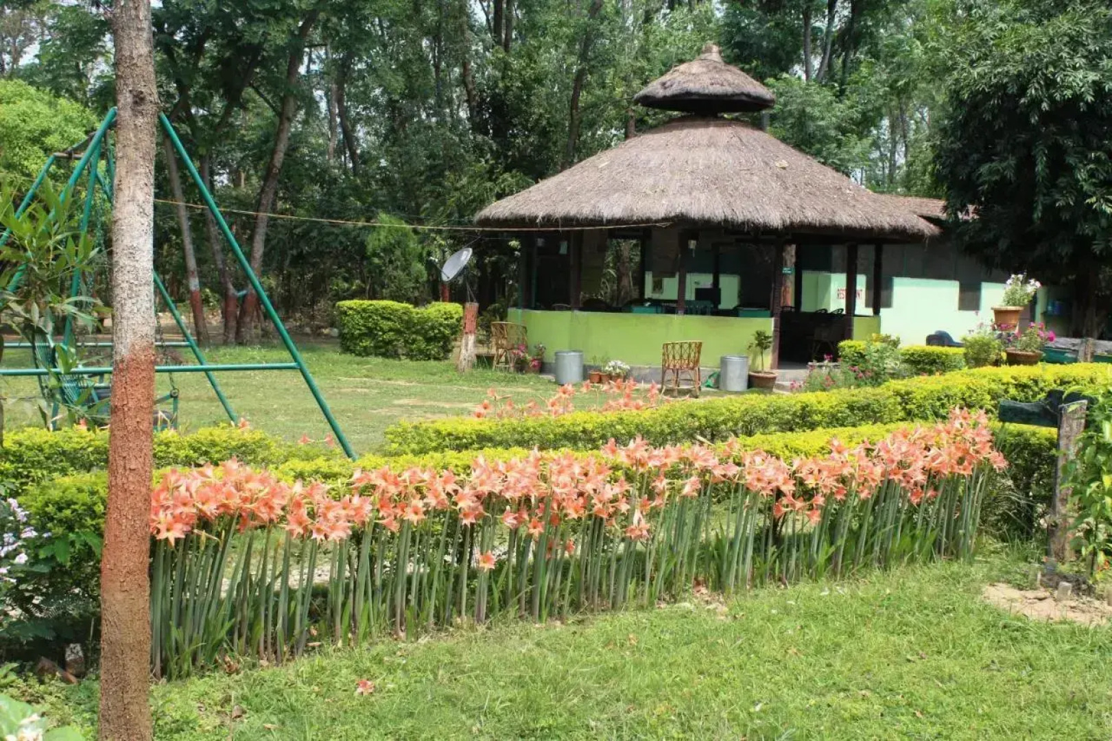 Suklaphanta Jungle Cottage