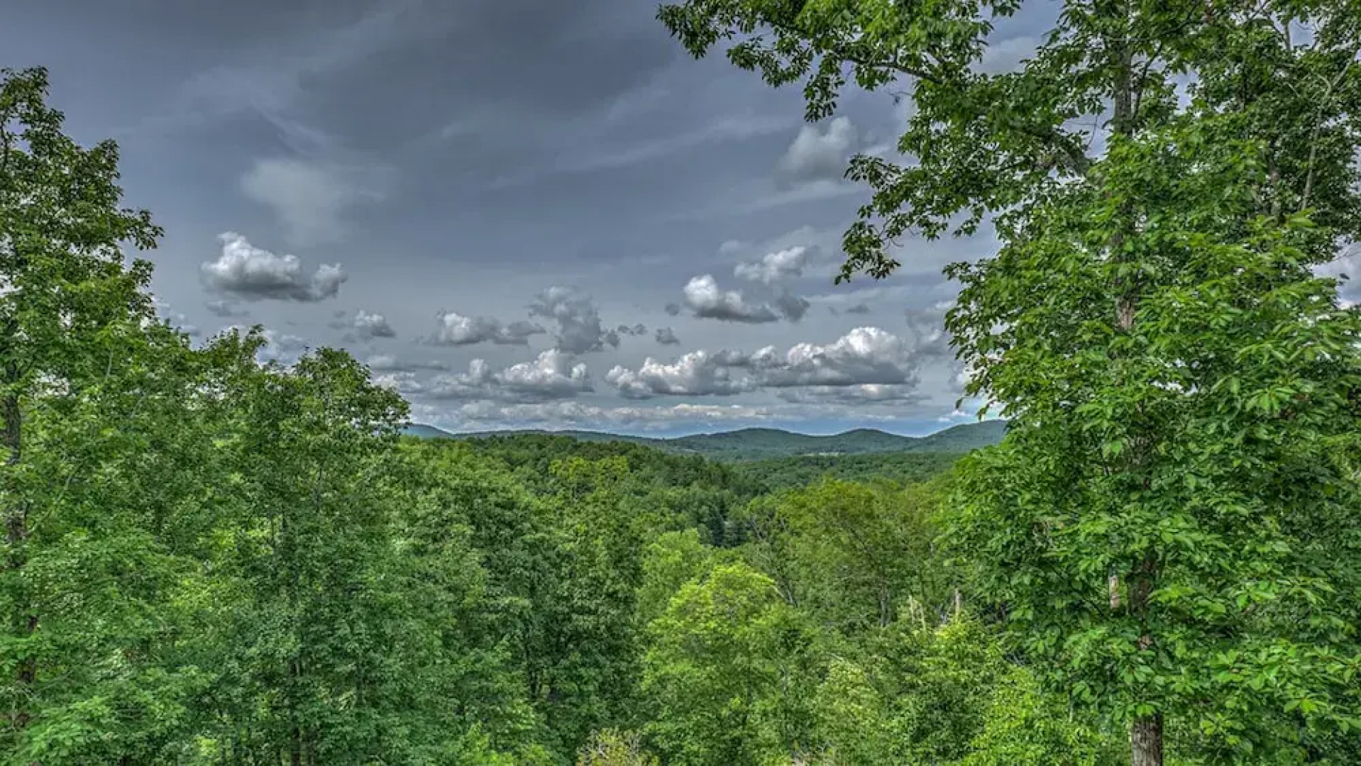 Secluded Serenity by Escape to Blue Ridge