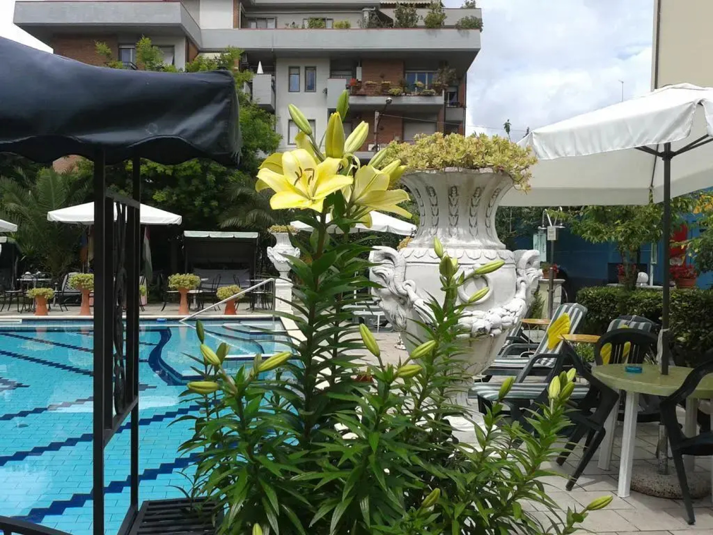 Hotel Flowers