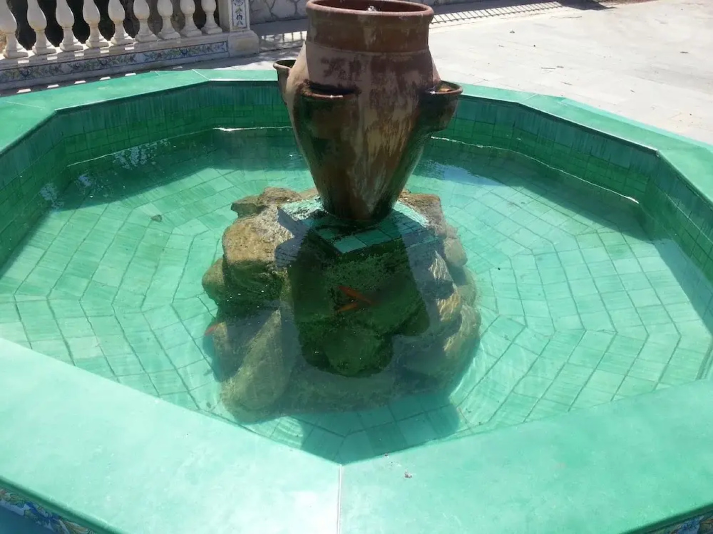 Aurora Bed and Breakfast