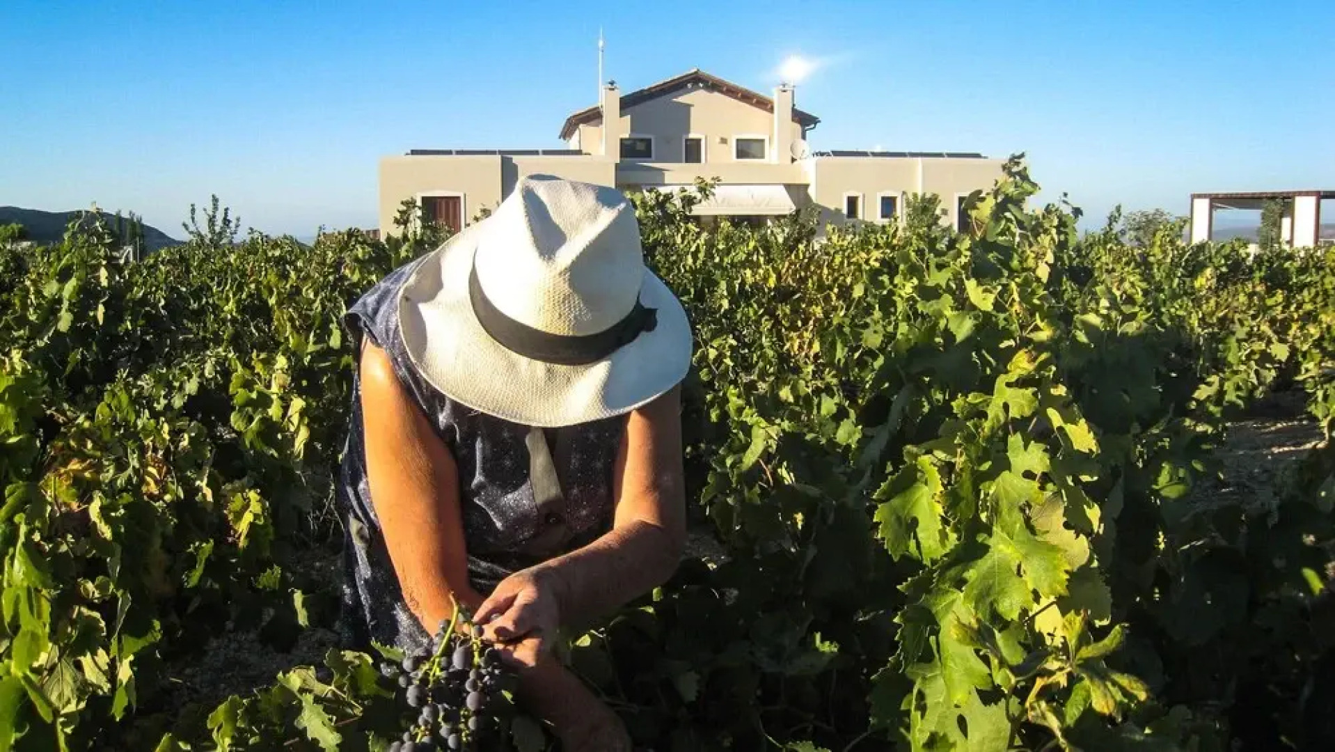 Luxurious Panoramic View Villa