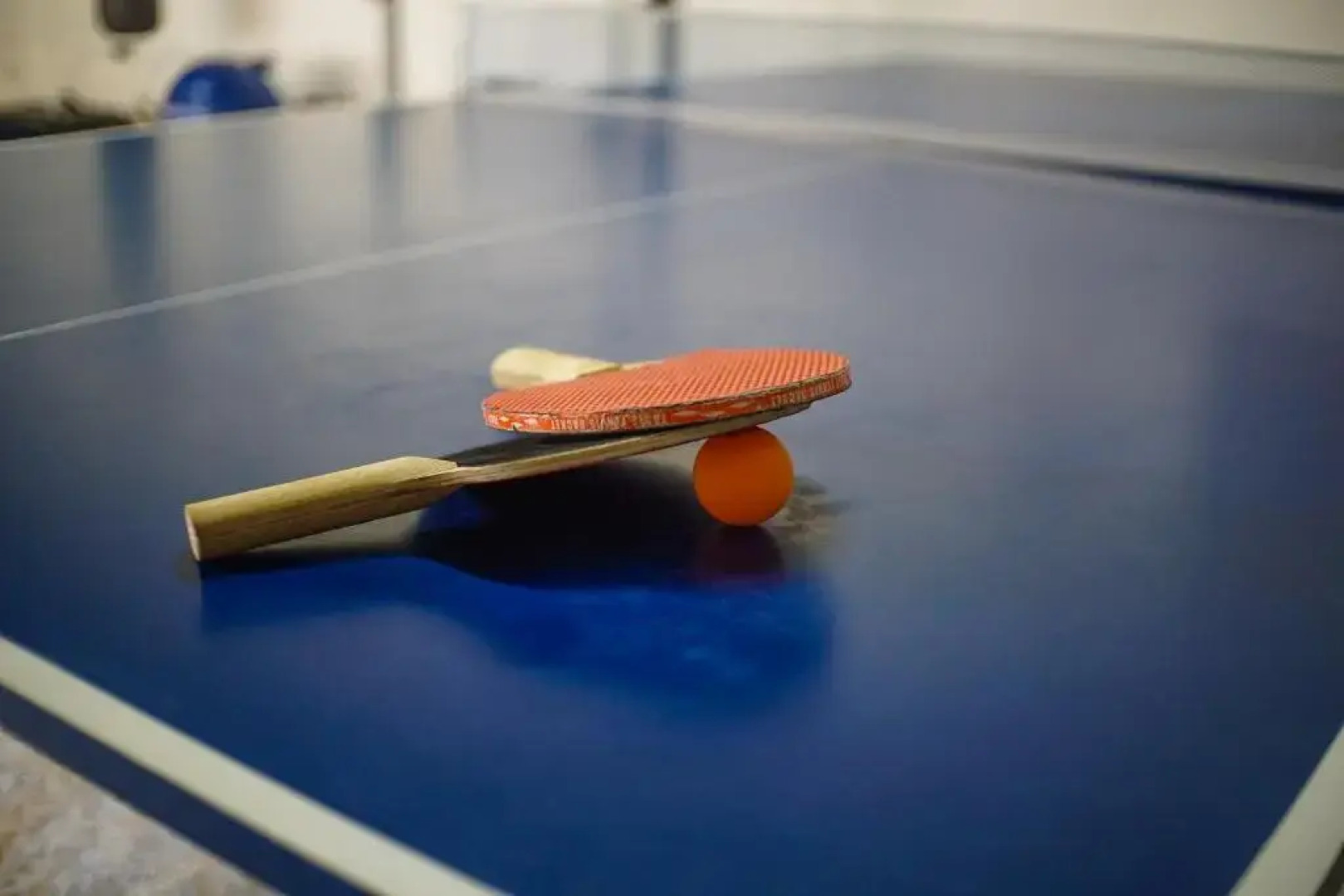 Eco Resort Bela Riba