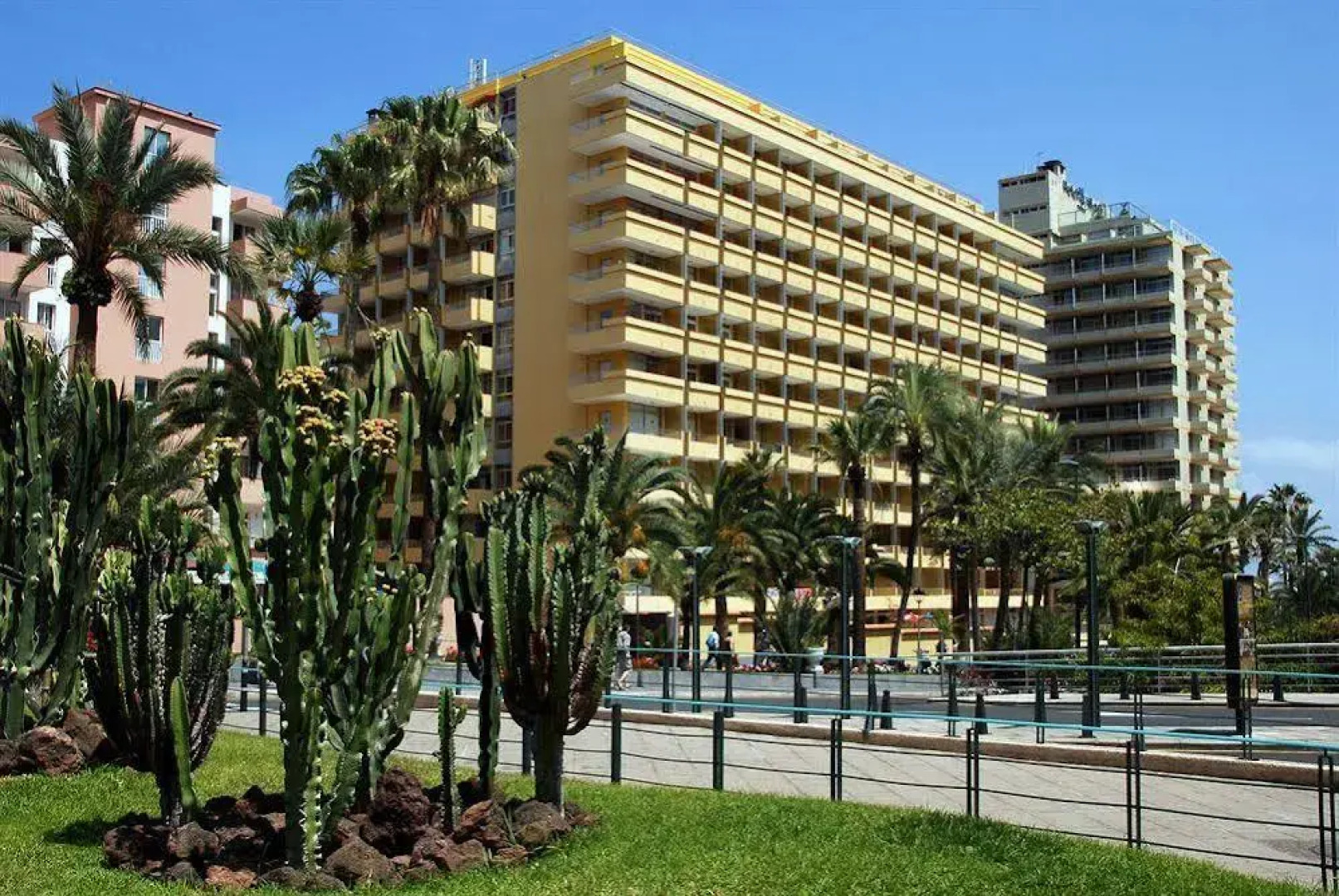 Elegance Palmeras Playa