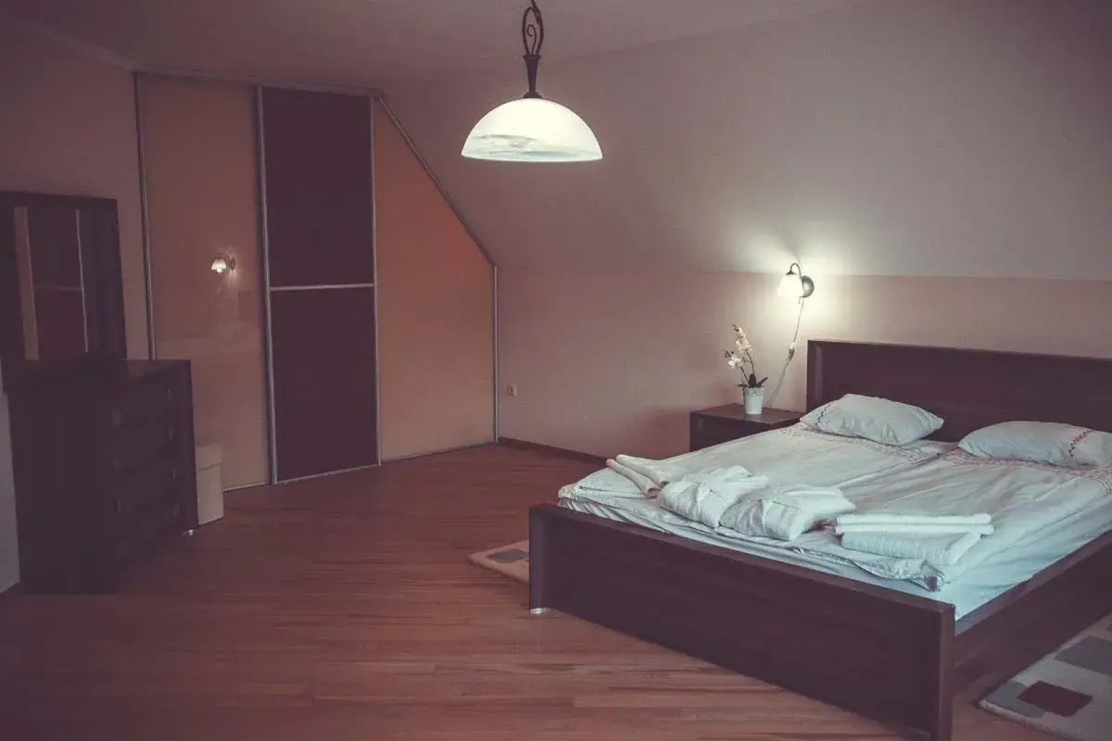 Червона Рута