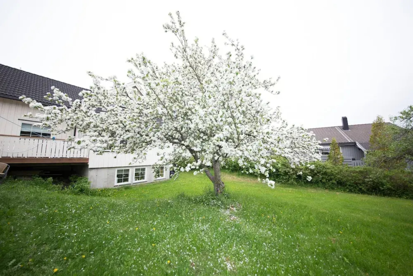 Ranheim Apartments AS