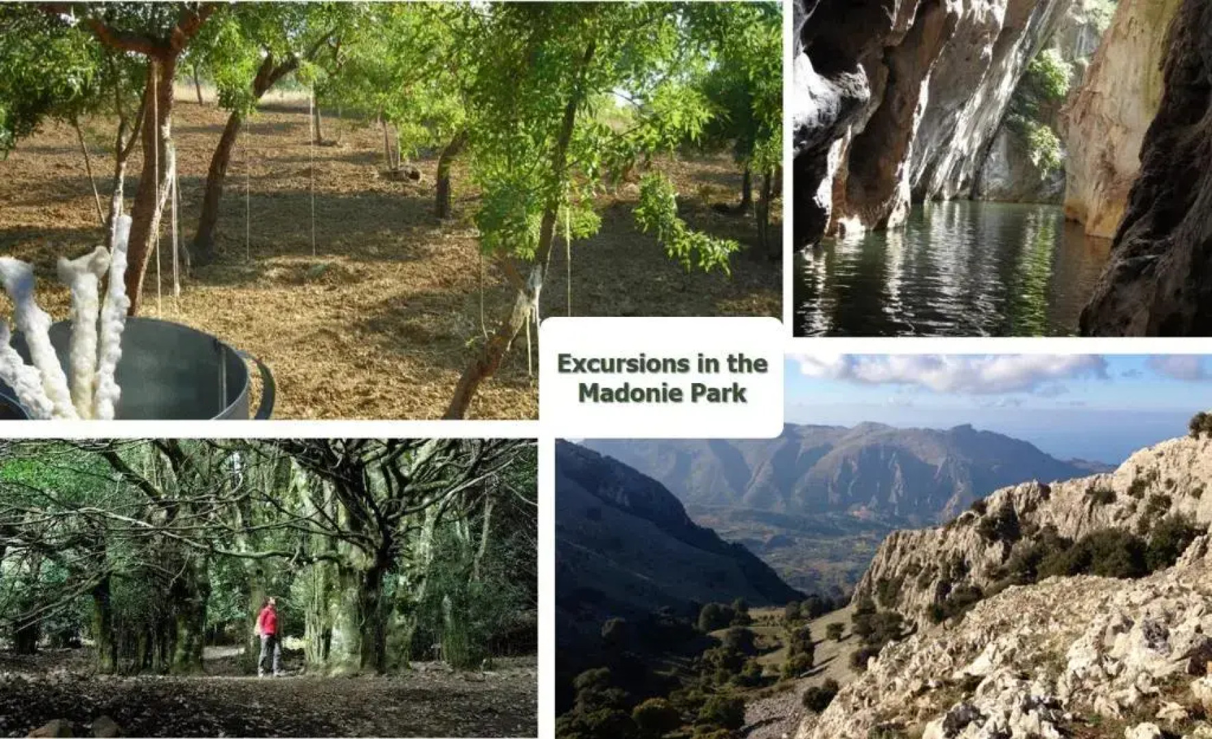 Case Spazioscena: Polimnia