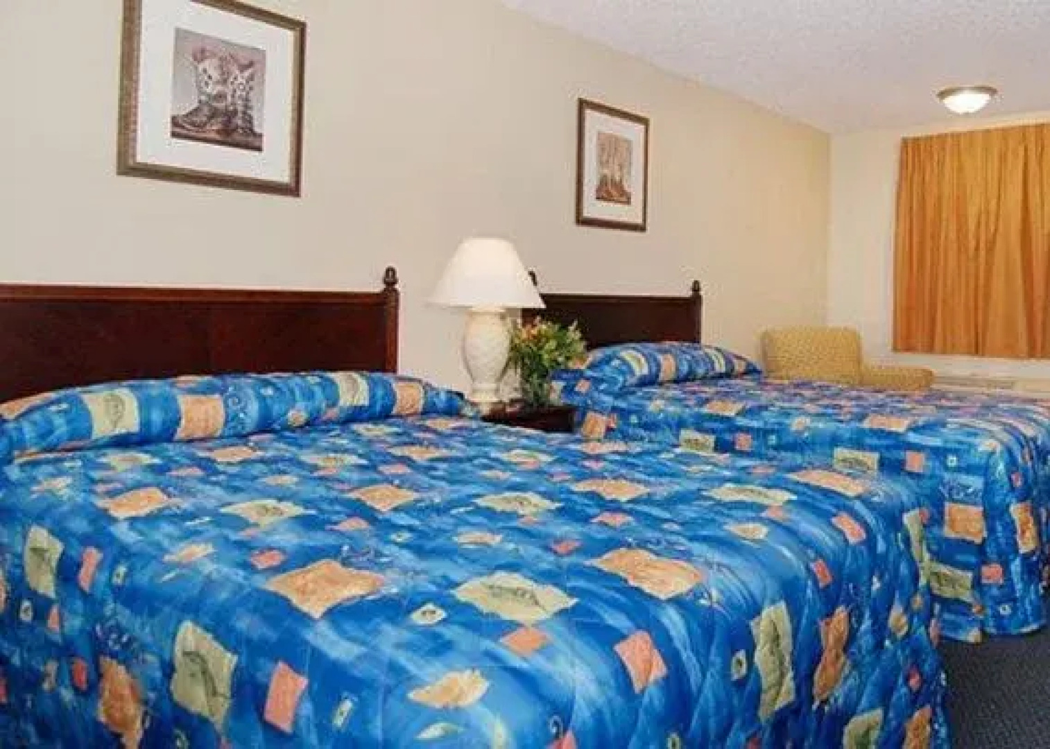 Econo Lodge Inn & Suites of Bossier City