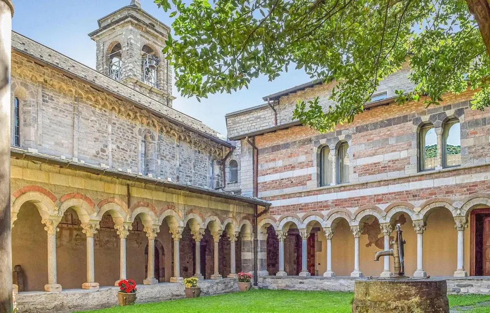 Vigneto due - Trilo 6