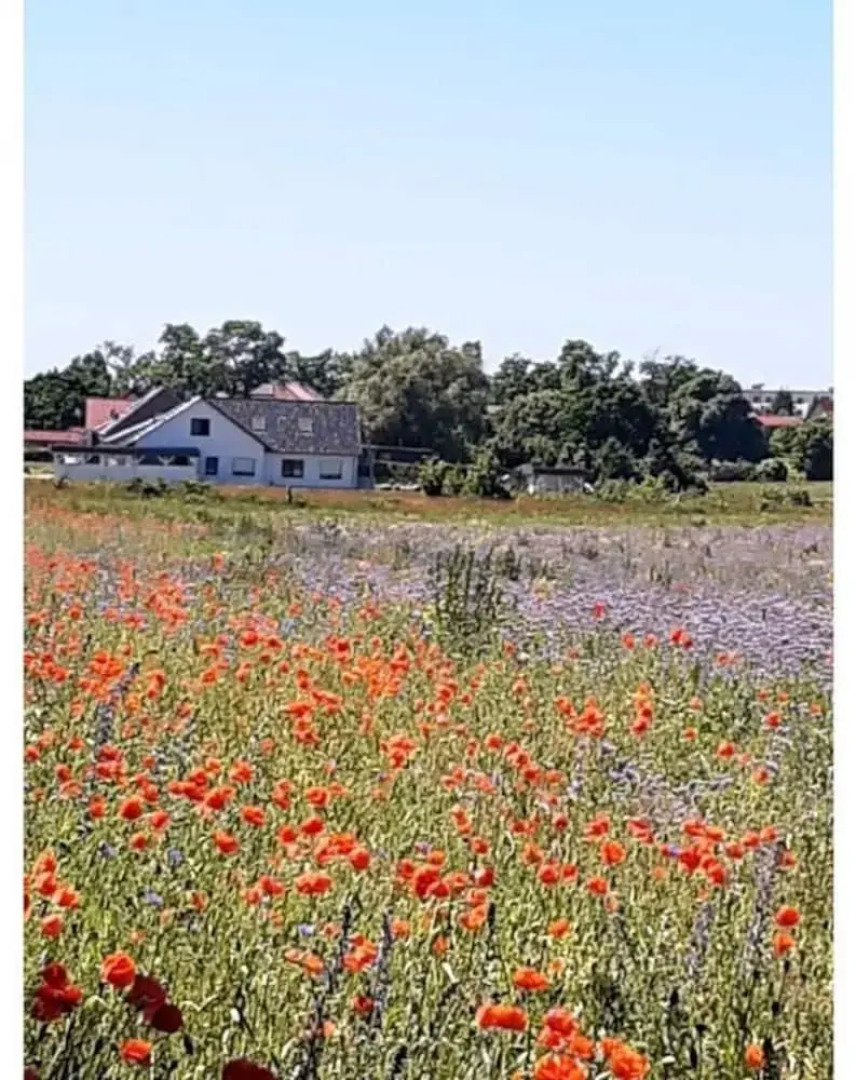 Time out Modern Retreat