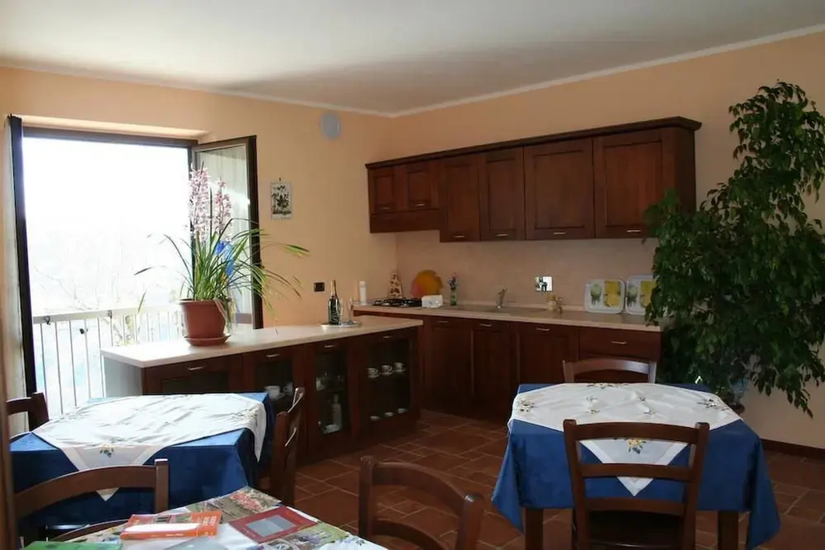 B&B Orchidea Selvatica