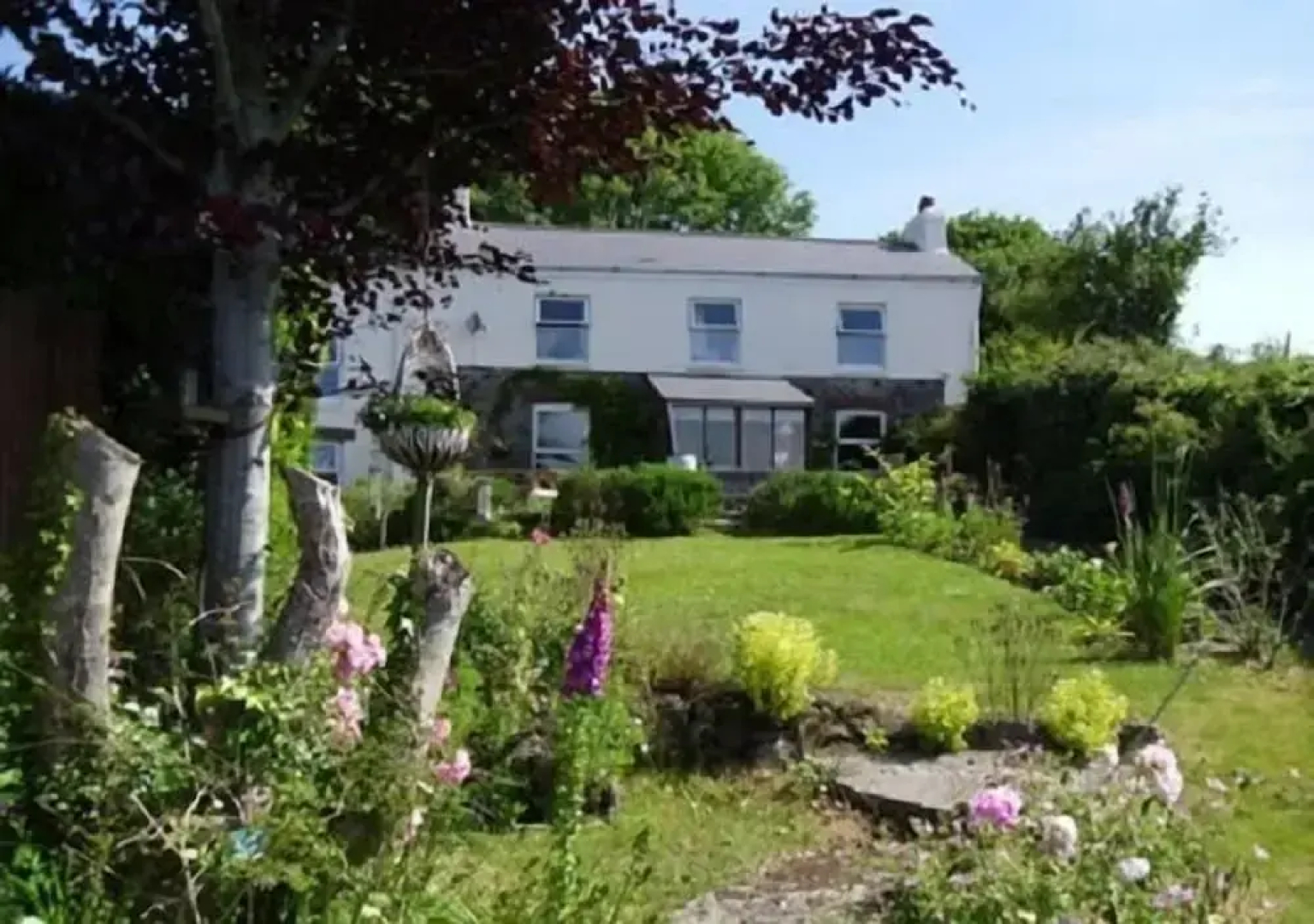 Vine Cottage - B&B