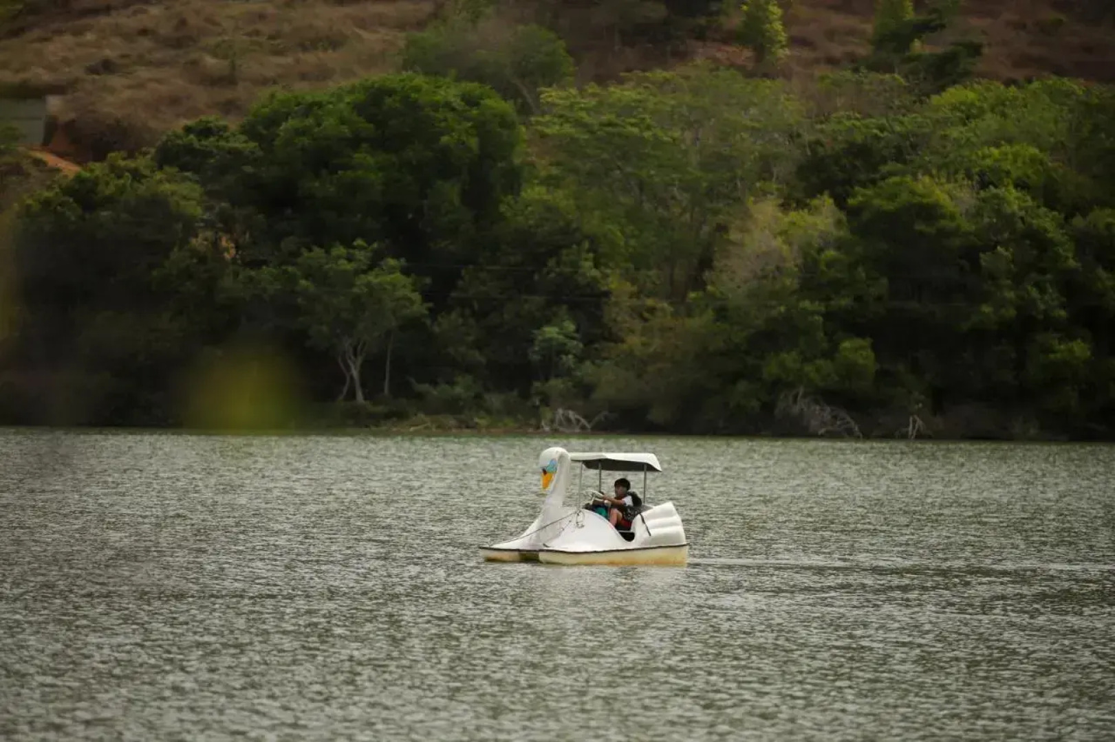 Vale Silvestre Eco Park