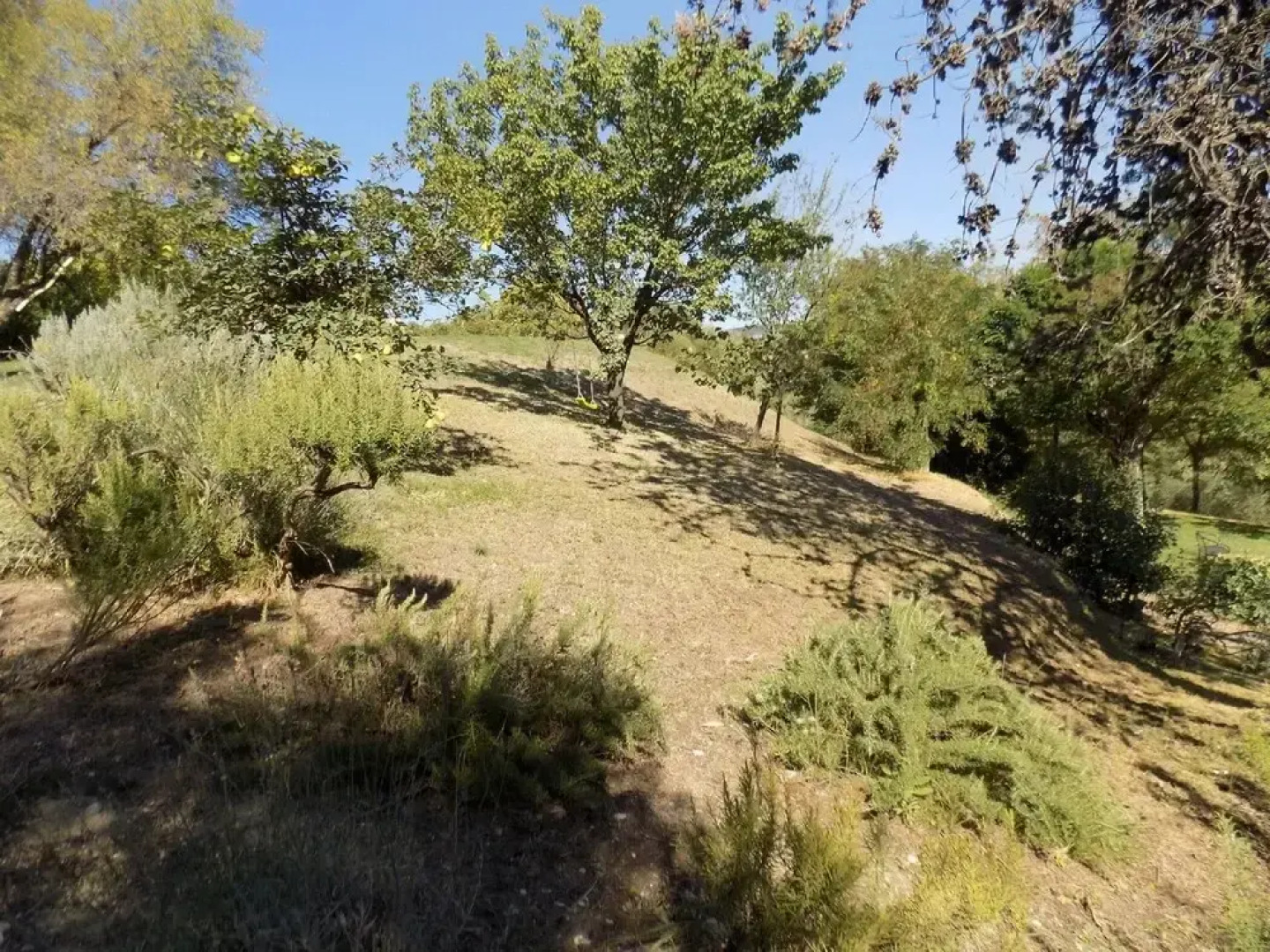 Scappo In Umbria, The Barn