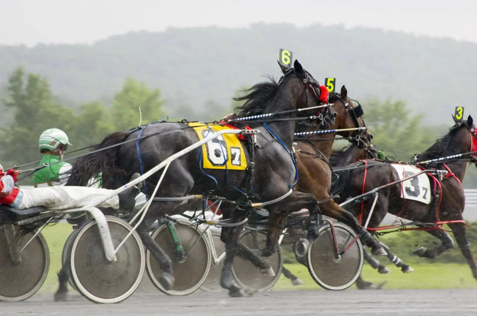 Best Western Clifton Park