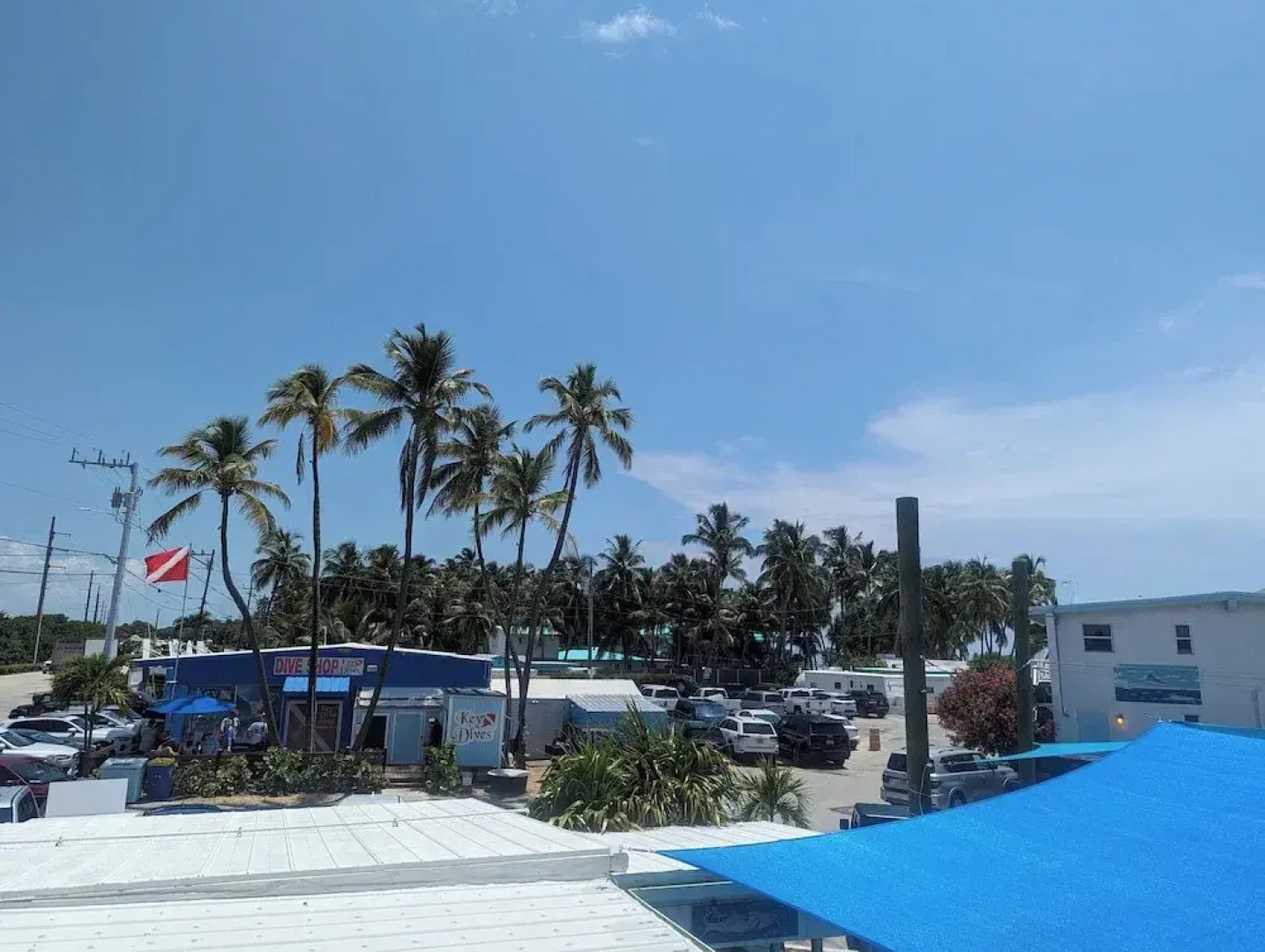 Bud N' Mary's Fishing Marina