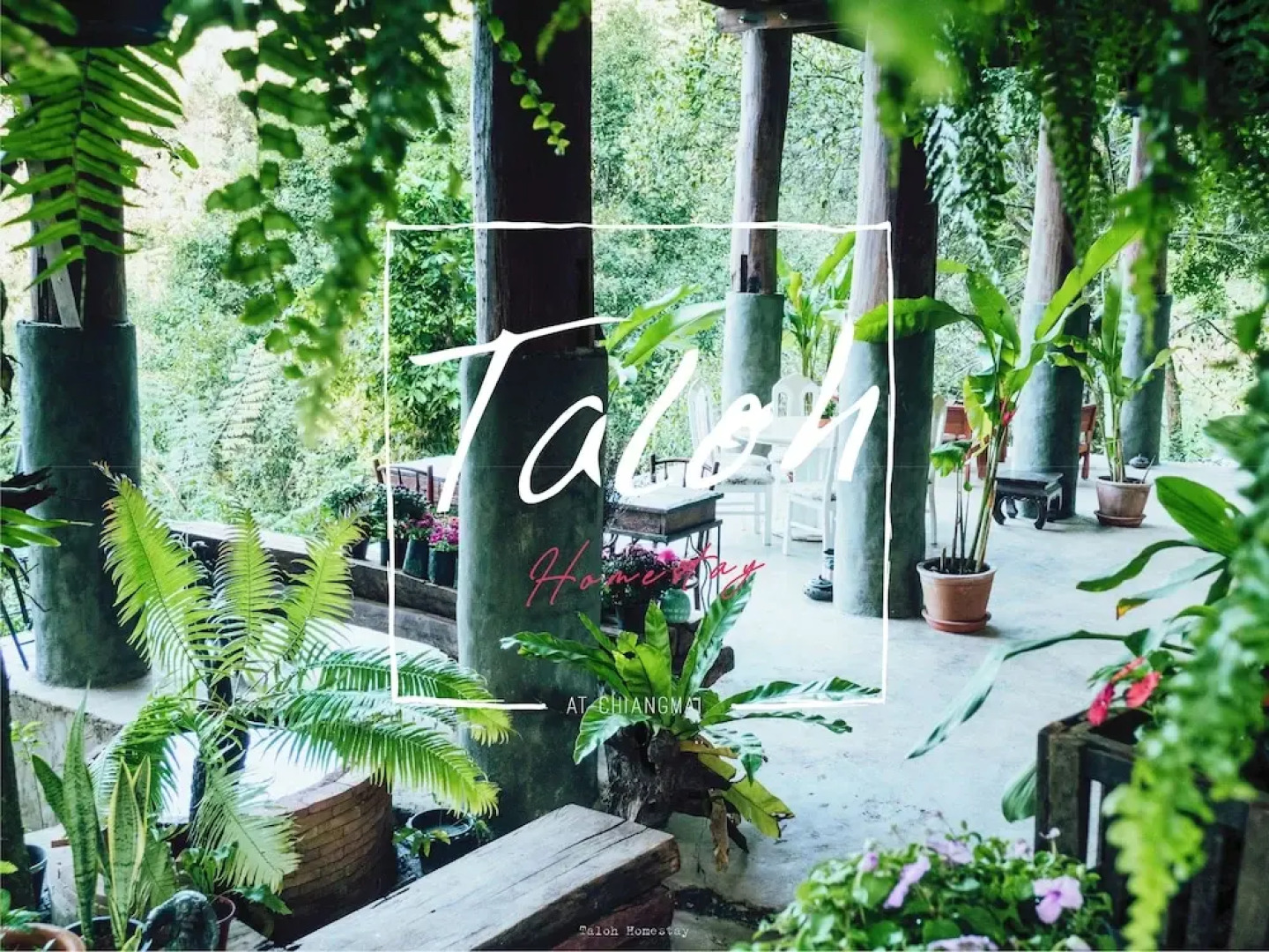 Taloh Homestay Chiangmai