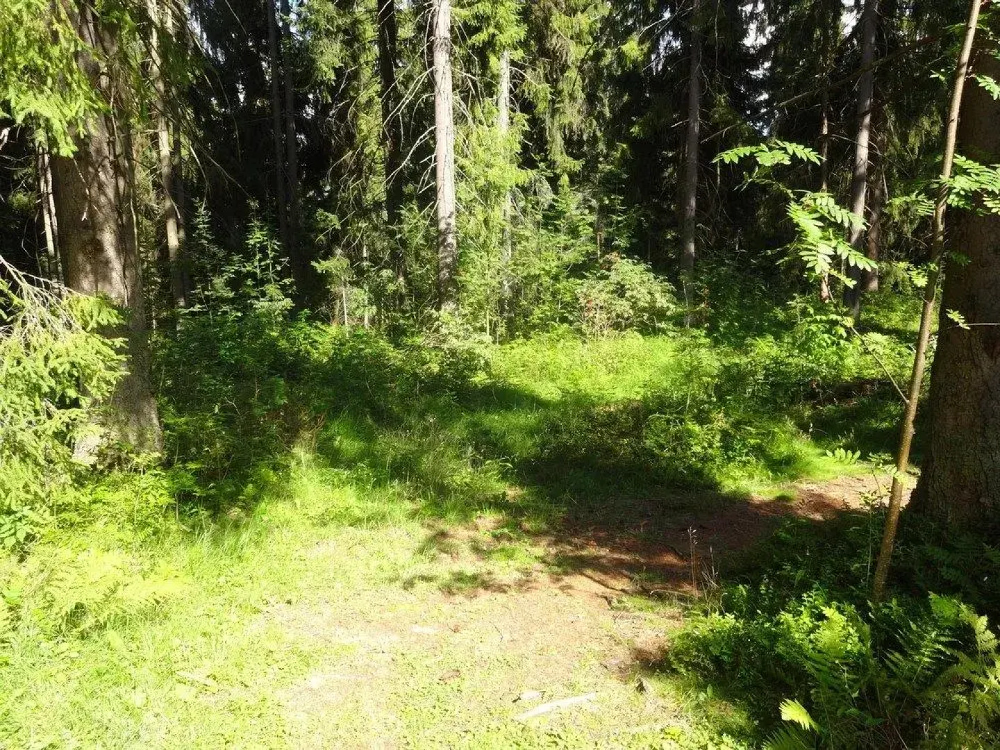 Hotel Tatry - POLSKIE TATRY S.A.