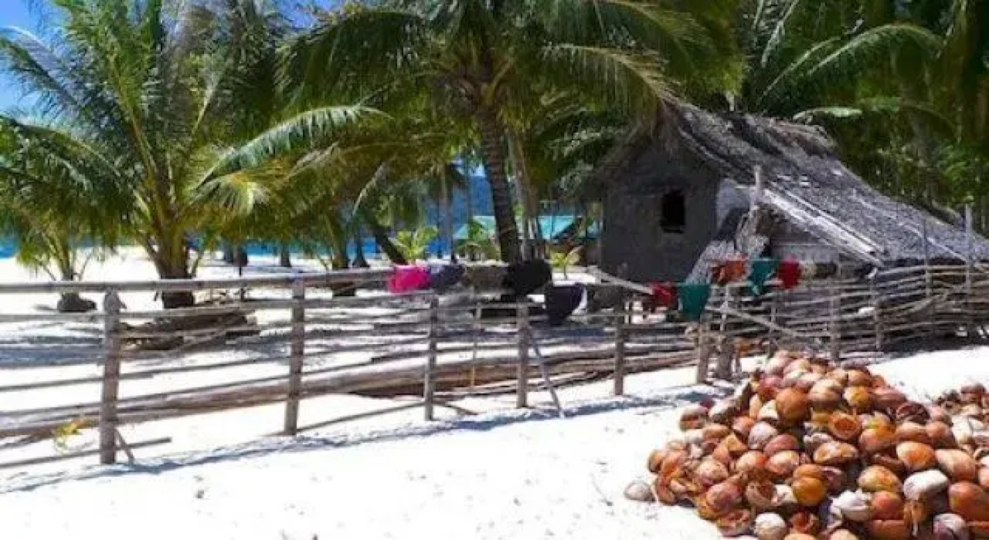 Pura Vida Inn & Tours