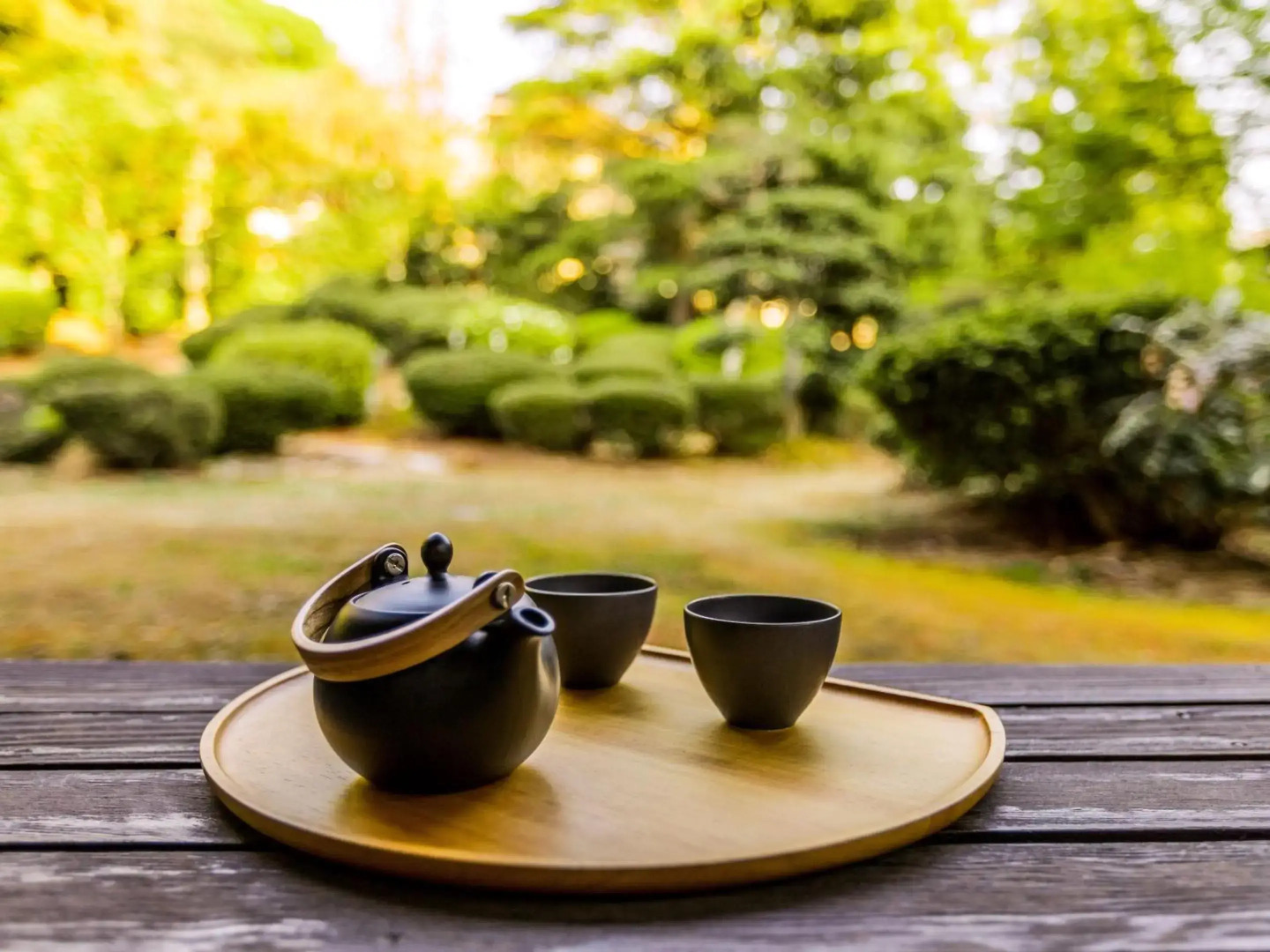 Ooedo Onsen Monogatari Premium Saiki Bekkan