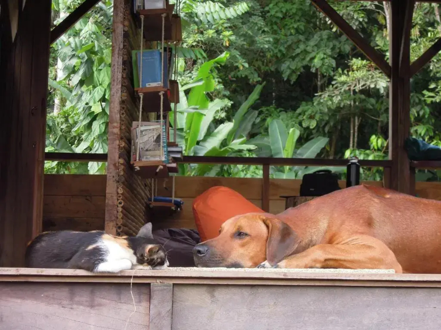 The Pelican House Hostel