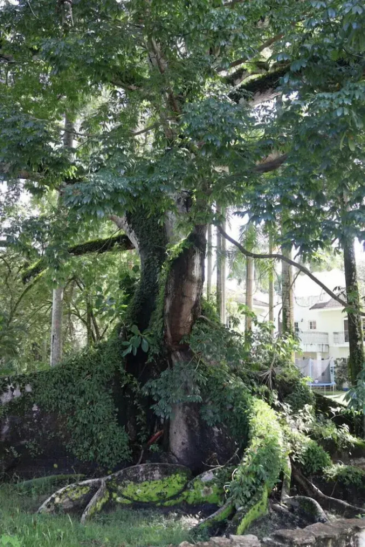 REFUGIO Sabaneta de Yásica