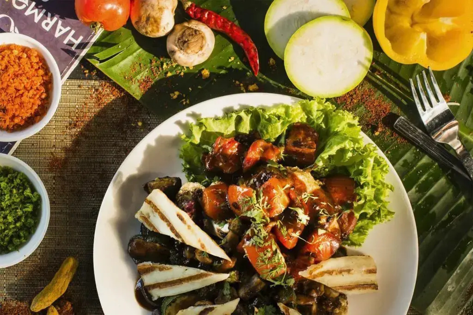 Harmonium Resorts Agonda