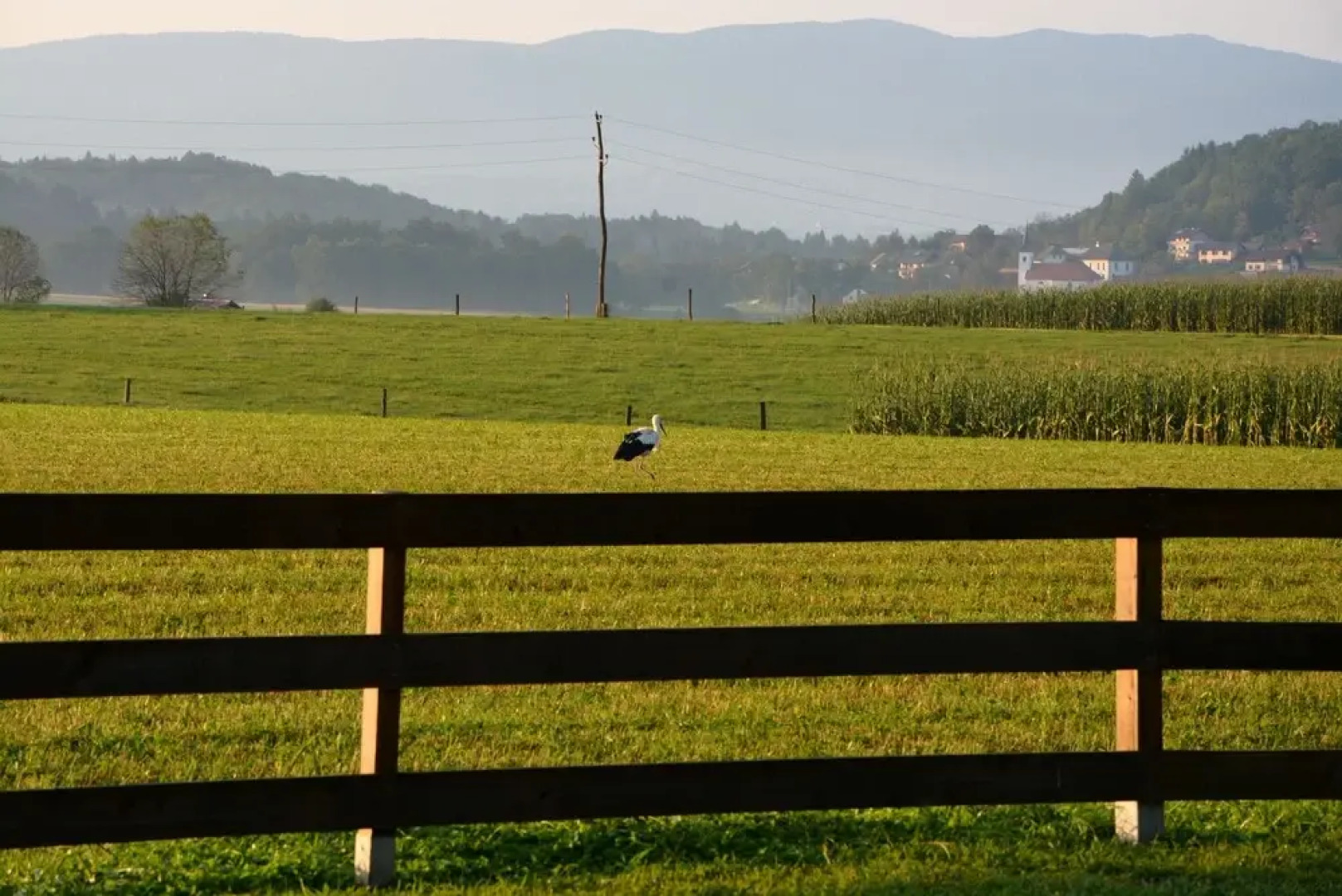 Glamping Kolpa Resort