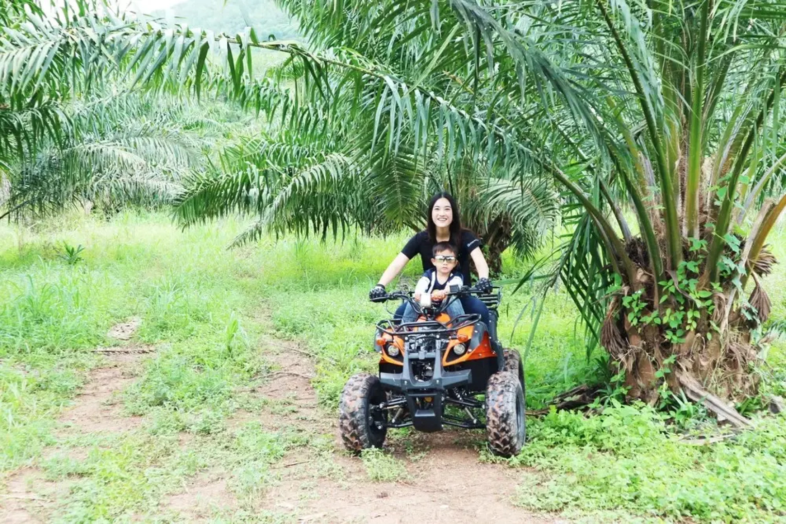 The Rubber Tree Resort