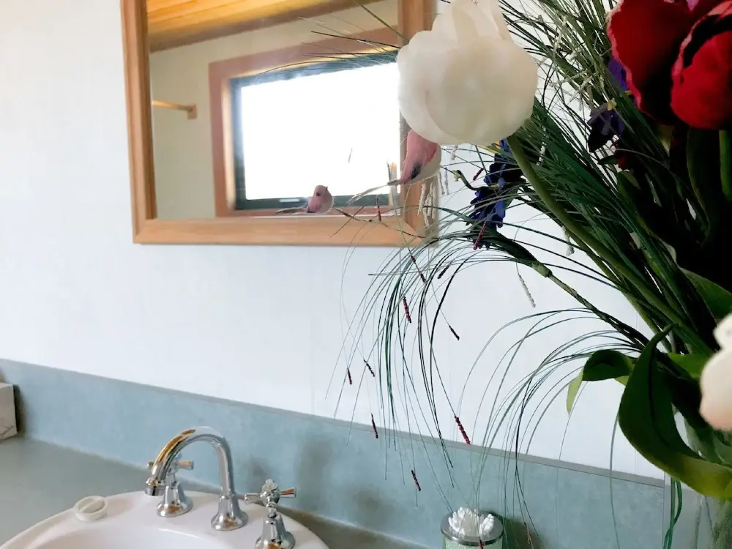 Meredith House & Apartments Strahan