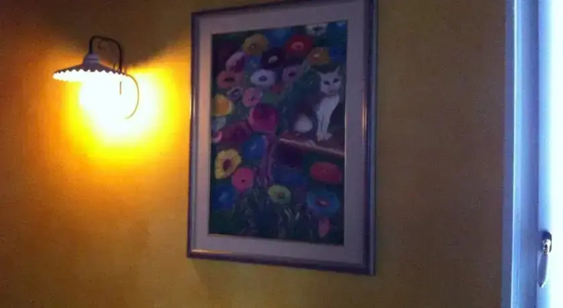 Luci sul Risorgimento