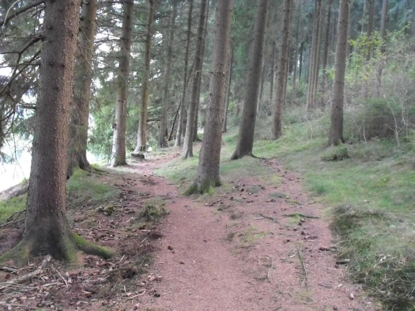 Apartment in Wildemann Near Hahnenklee Ski Area